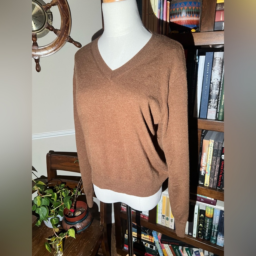 The Workshop Chestnut Brown V-Neck Sweater